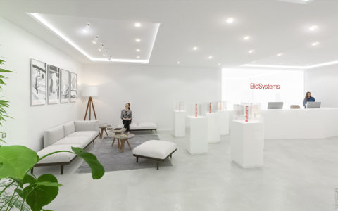 Arquitectura | Interiorismo